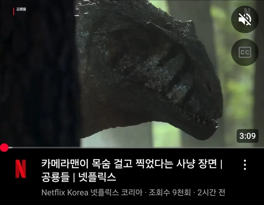 의외로 카메라맨이 촬영할 때 가장 위험한 순간.jpg | mbong.kr 엠봉