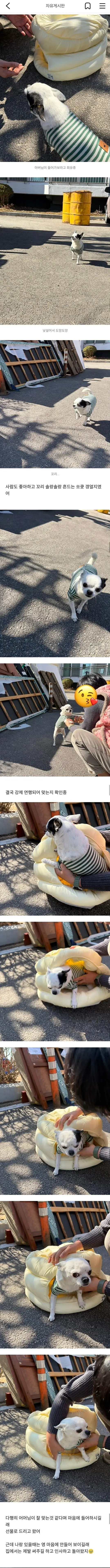 진짜 평화로운 당근마켓 근황.jpg | mbong.kr 엠봉