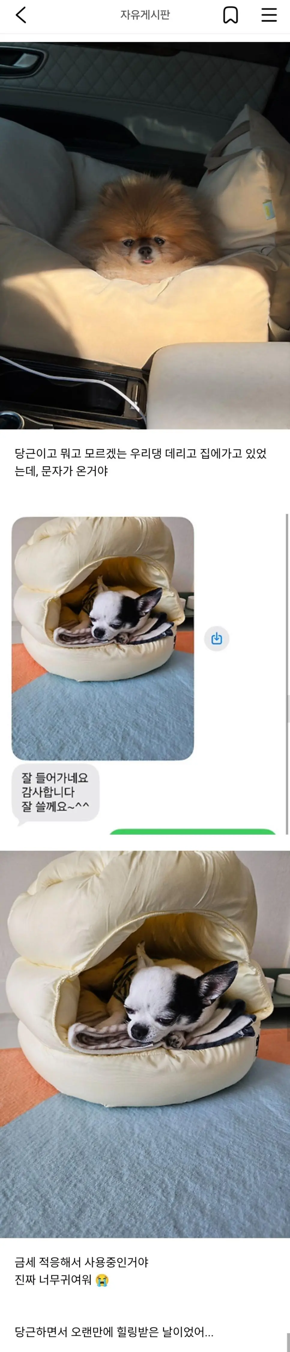 진짜 평화로운 당근마켓 근황.jpg | mbong.kr 엠봉