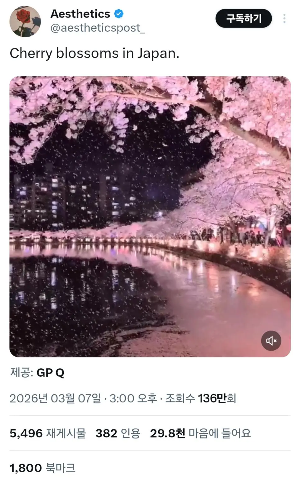 트위터 조회수 100만 돌파한 일본 벚꽃 풍경 | mbong.kr 엠봉