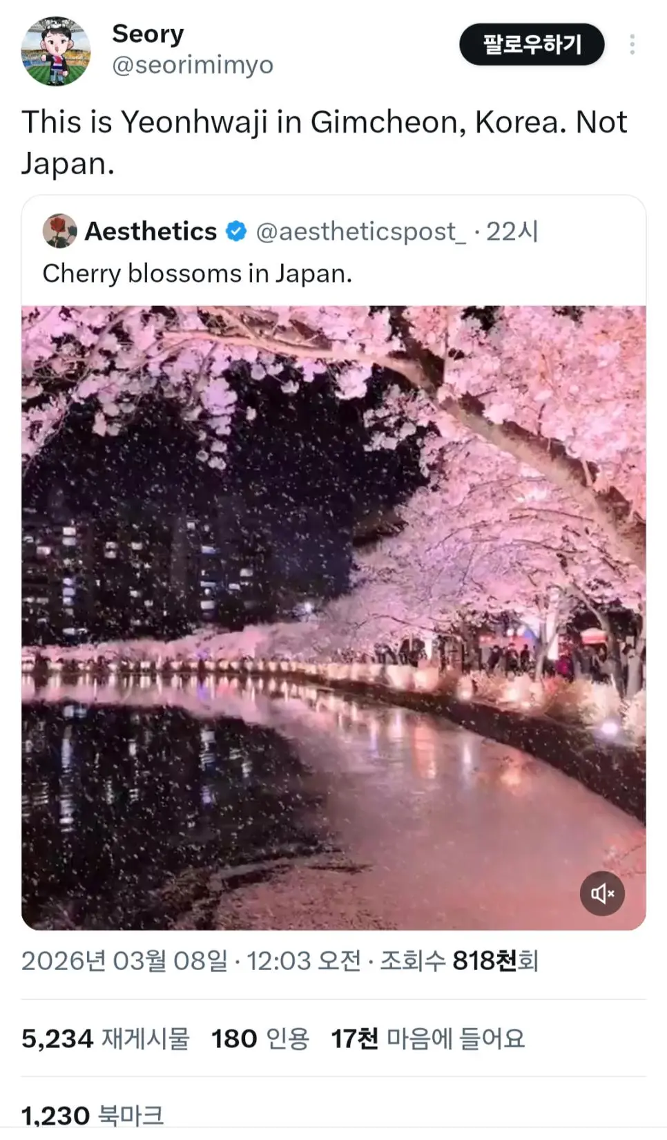 트위터 조회수 100만 돌파한 일본 벚꽃 풍경 | mbong.kr 엠봉