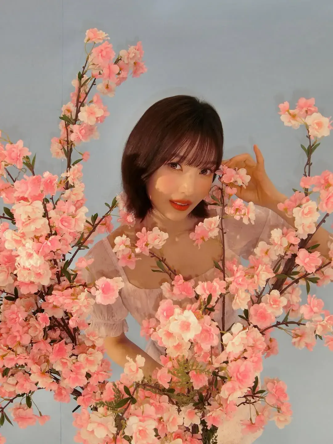 벚꽃 조이 | mbong.kr 엠봉