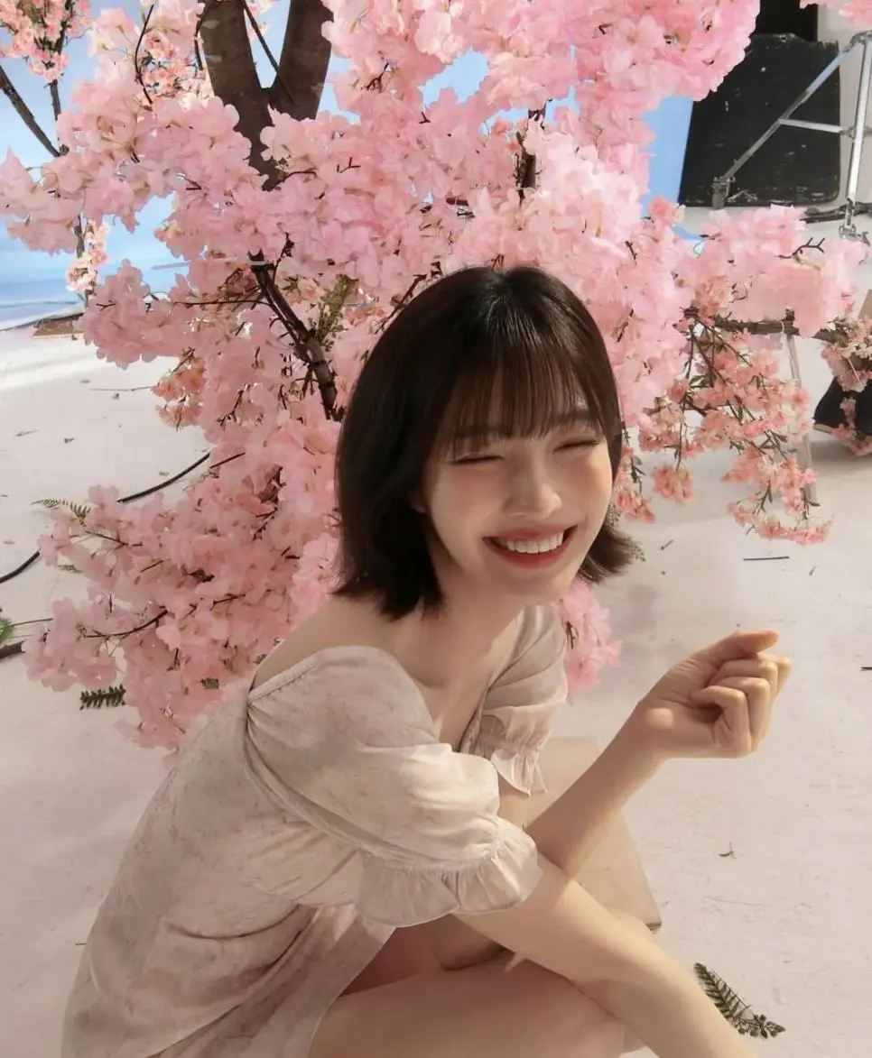 벚꽃 조이 | mbong.kr 엠봉