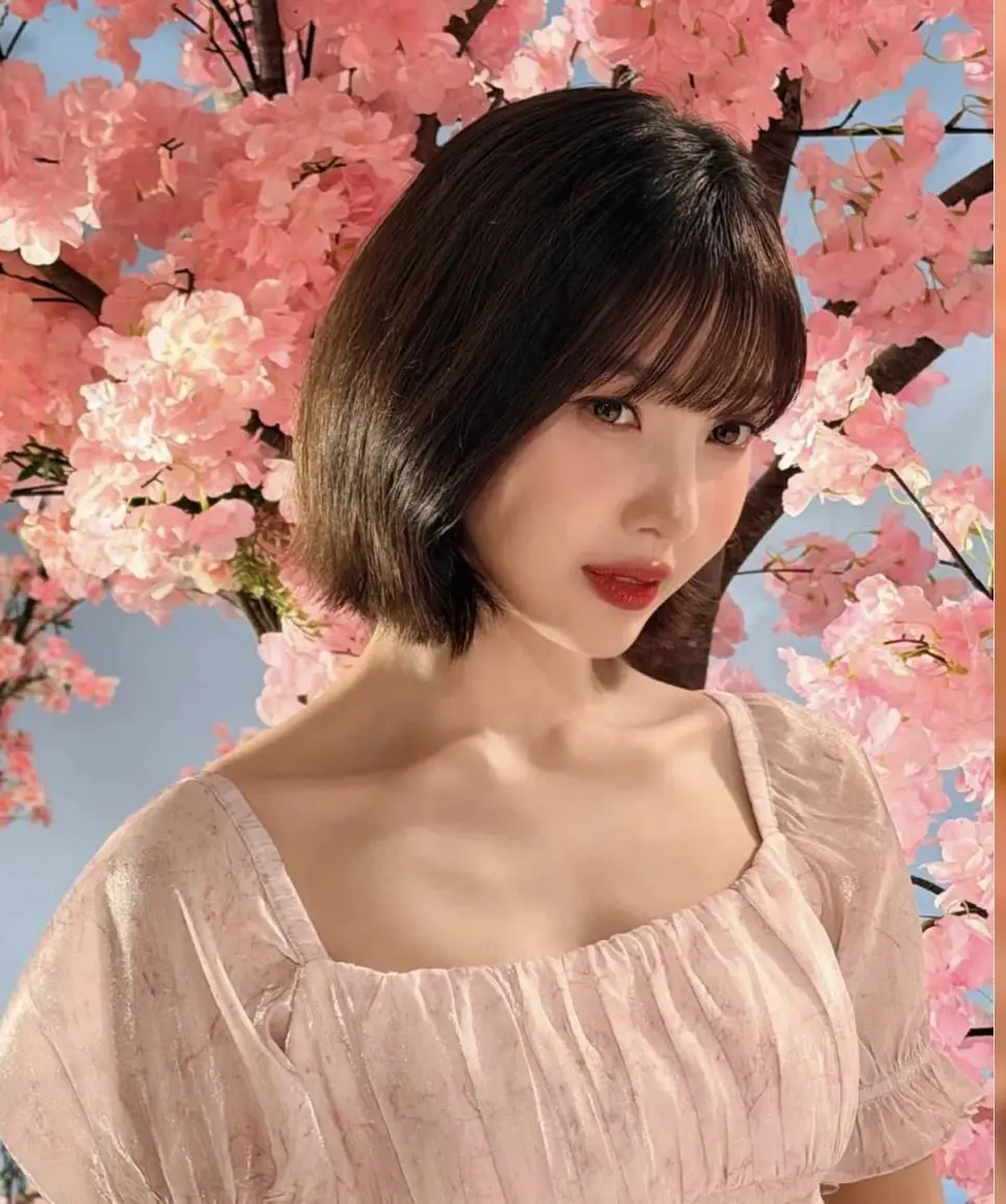 벚꽃 조이 | mbong.kr 엠봉