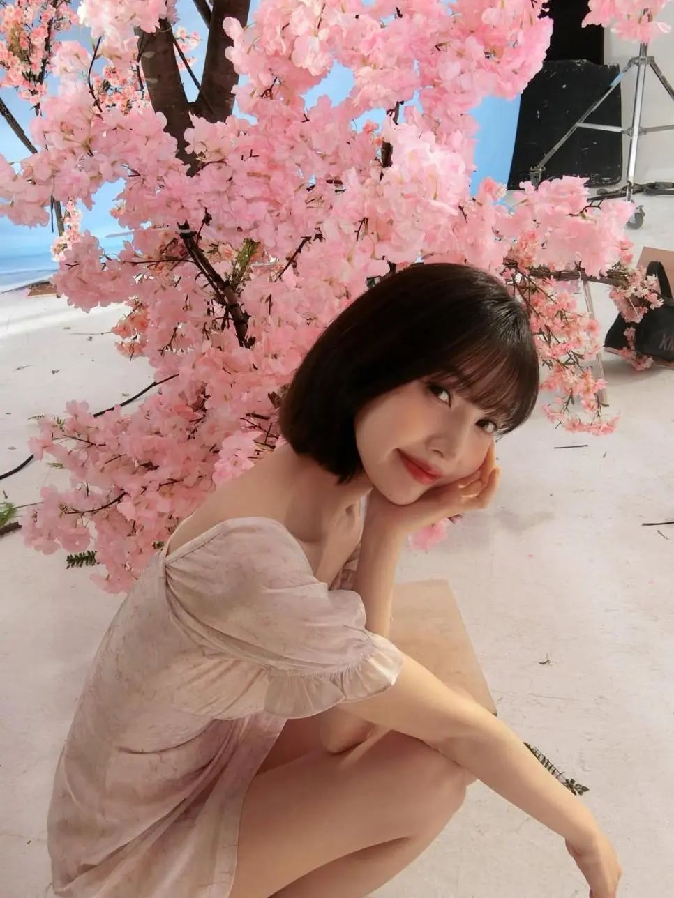 벚꽃 조이 | mbong.kr 엠봉