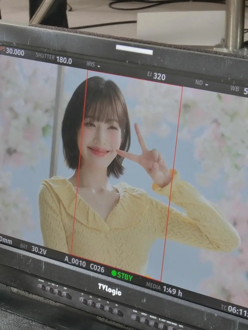 벚꽃 조이 | mbong.kr 엠봉