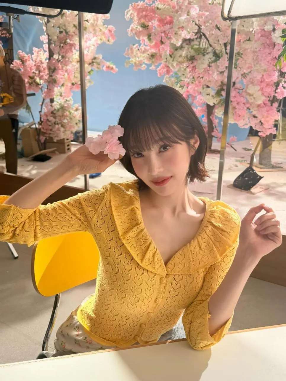 벚꽃 조이 | mbong.kr 엠봉