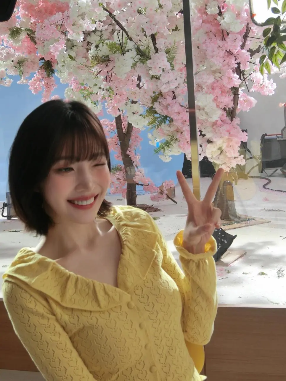 벚꽃 조이 | mbong.kr 엠봉