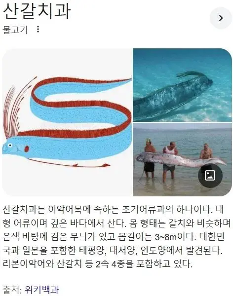 쉽게 만날 수 없는 물고기를 만난 사람들 | mbong.kr 엠봉