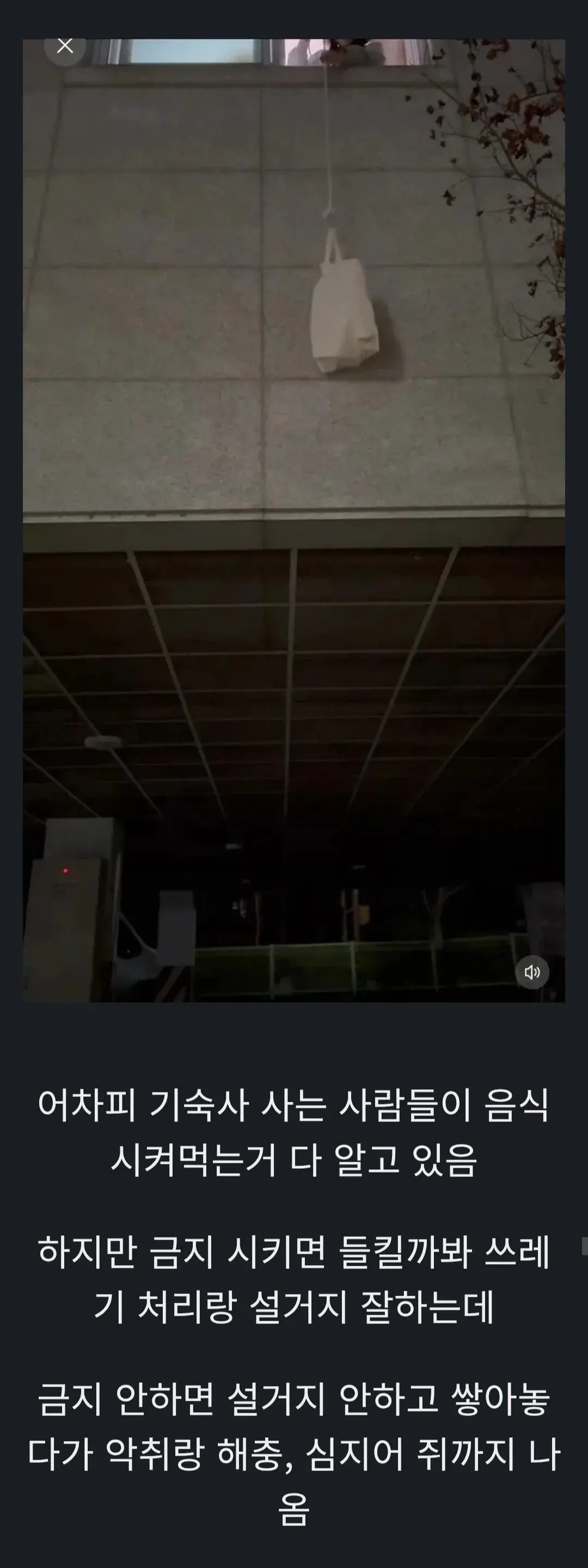 기숙사에서 음식 먹는거 금지하는 이유 | mbong.kr 엠봉