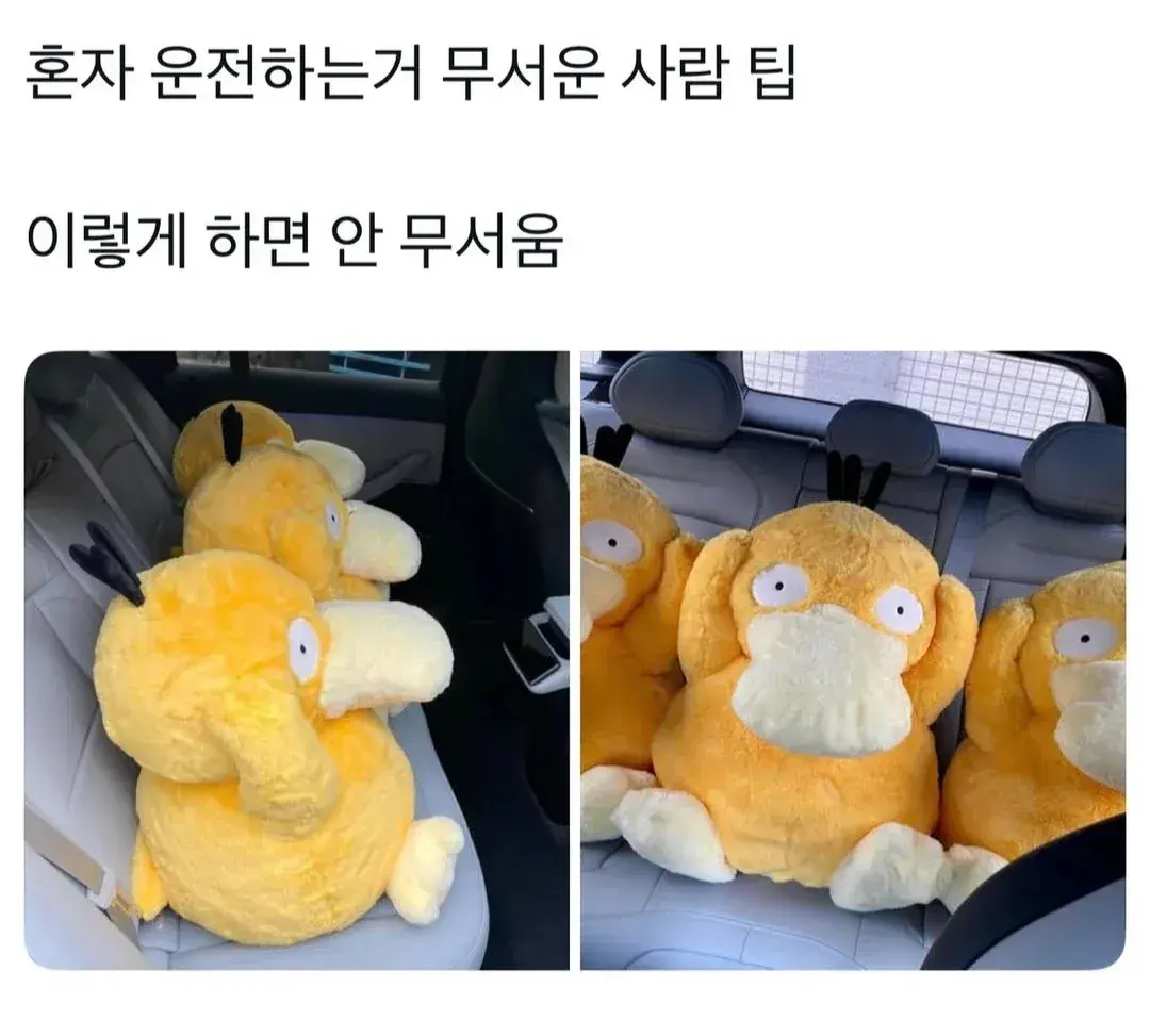 초보운전 꿀팁.jpg | mbong.kr 엠봉