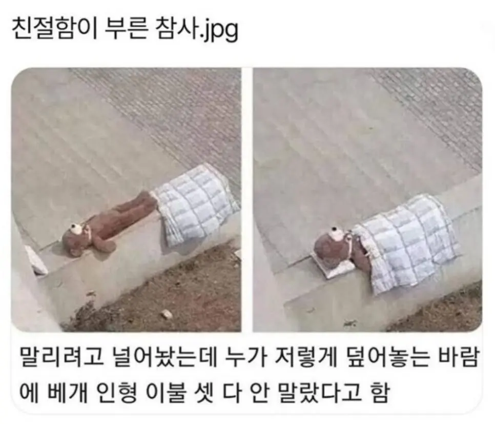 친절이 부른 대참사 | mbong.kr 엠봉