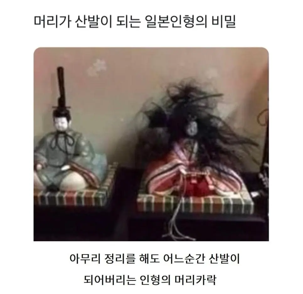 자꾸 머리가 산발이 되는 일본인형.jpg | mbong.kr 엠봉