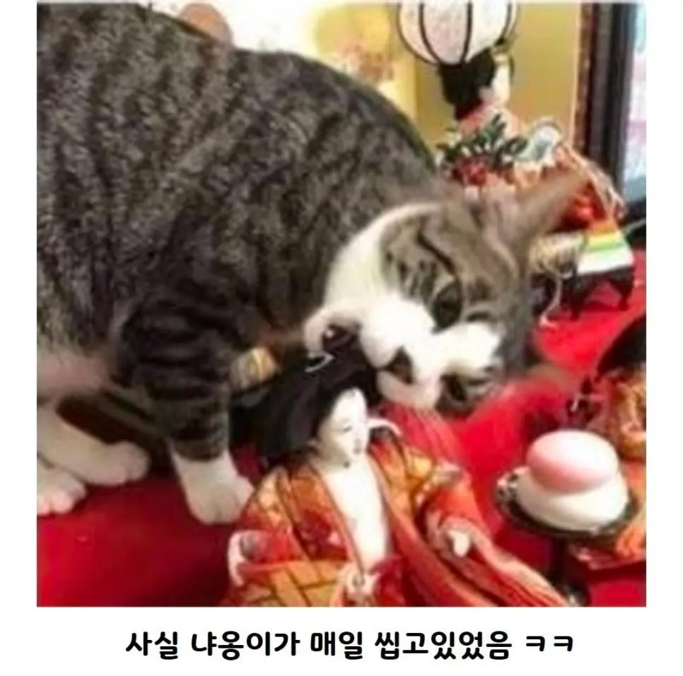 자꾸 머리가 산발이 되는 일본인형.jpg | mbong.kr 엠봉