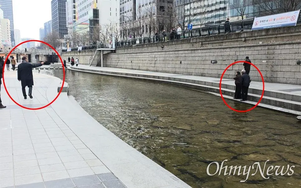 청계천 백로 붙잡고 사진 찍는 외국 관광객들 | mbong.kr 엠봉