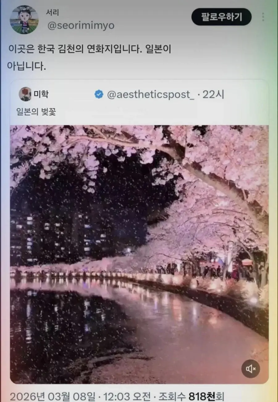 트위터 조회수 100만 돌파한 일본 벚꽃 풍경 | mbong.kr 엠봉