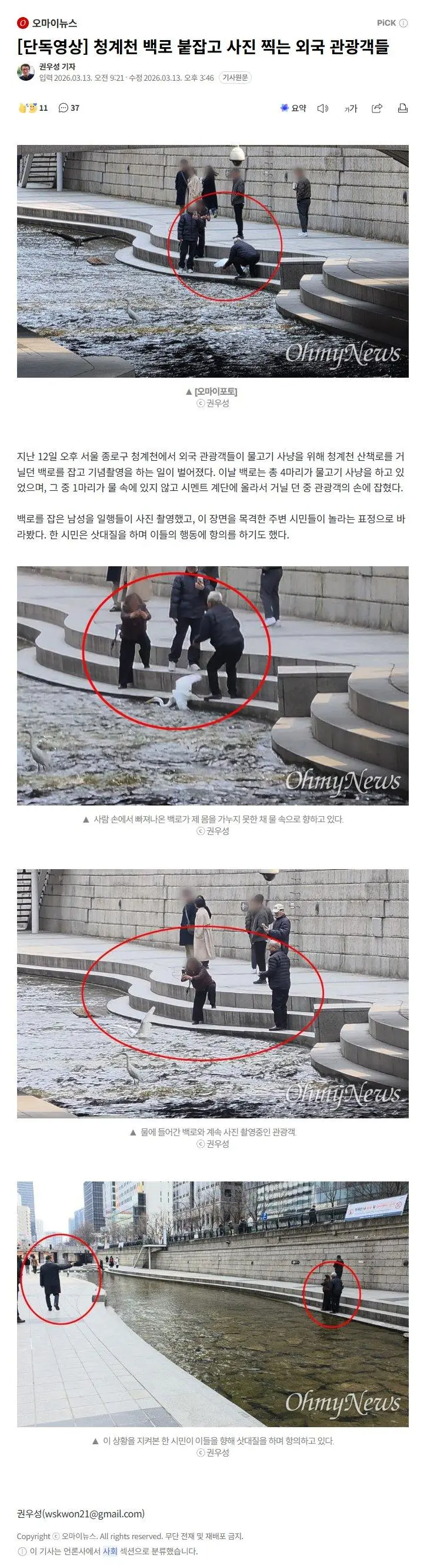 청계천 백로 붙잡고 사진 찍는 외국 관광객들 ㄷㄷㄷ | mbong.kr 엠봉