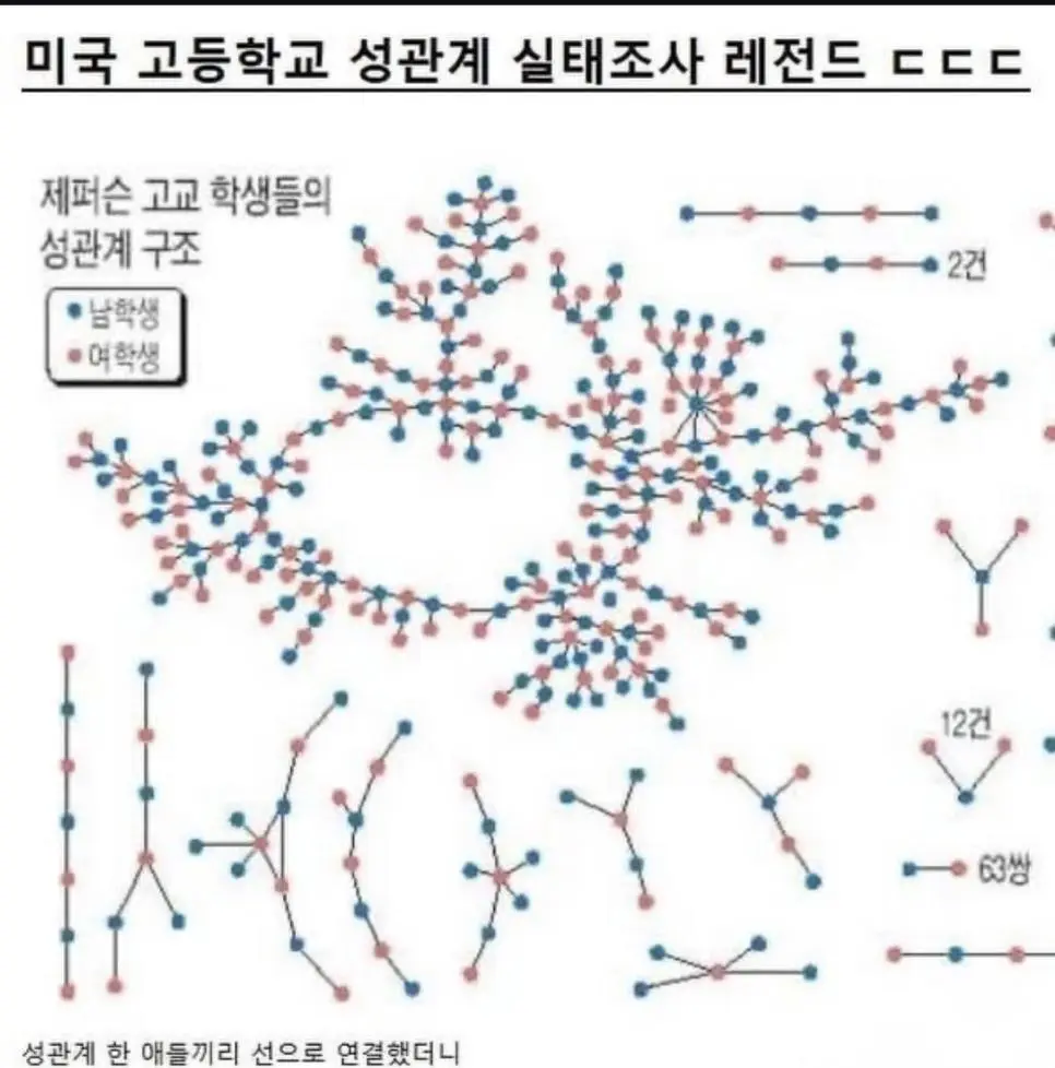 미국 고등학교 성관계 실태조사 | mbong.kr 엠봉