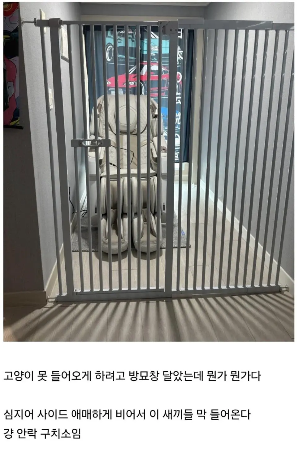 큰맘먹고 안마의자 삼 | mbong.kr 엠봉