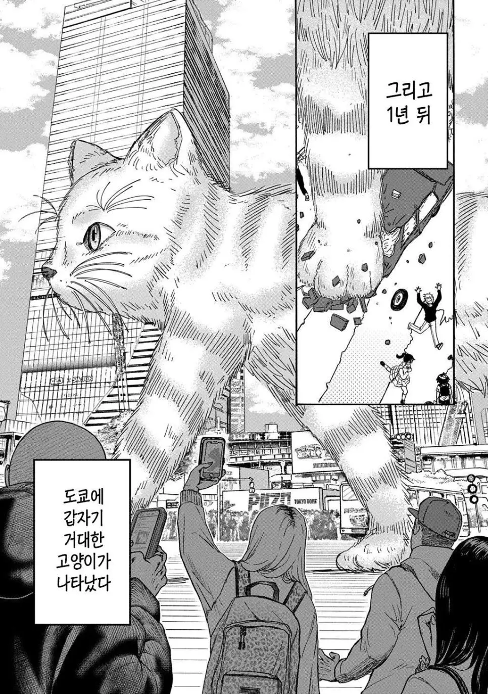 버려진 길냥이 줍는 만화 | mbong.kr 엠봉