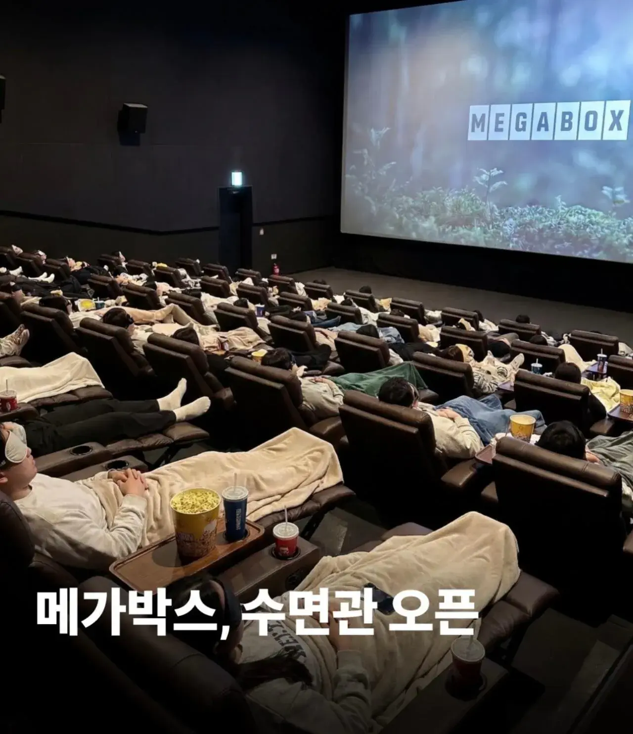 메가박스 수면관 3,000원 | mbong.kr 엠봉