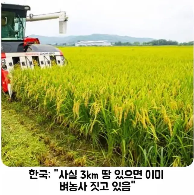 무기 스펙 및 테스트 조건 속이다 딱걸린 한국 | mbong.kr 엠봉