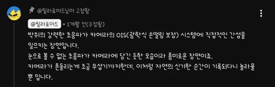 천연 EMP를 장착한 동물 | mbong.kr 엠봉