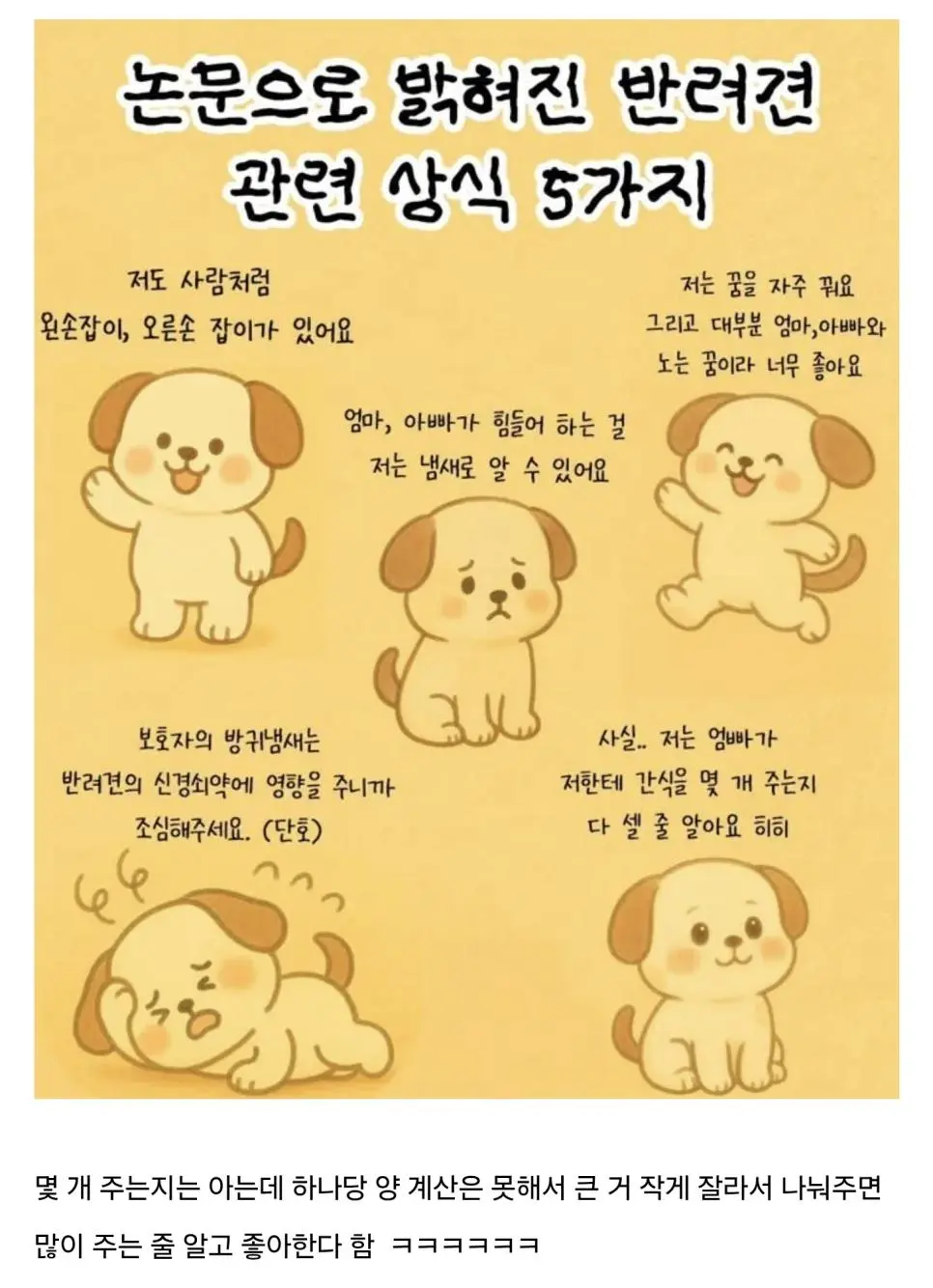 논문으로 밝혀진 반려견 상식.jpg | mbong.kr 엠봉