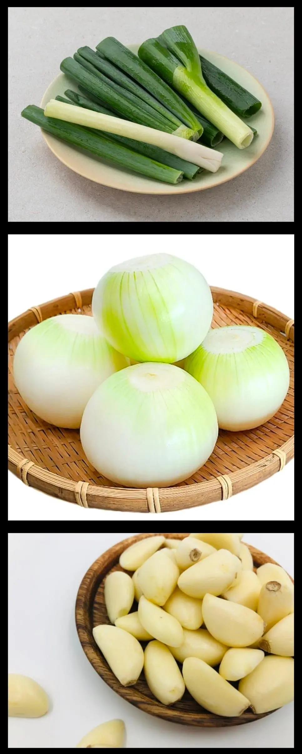 없어지면 큰일나는 채소.JPG | mbong.kr 엠봉