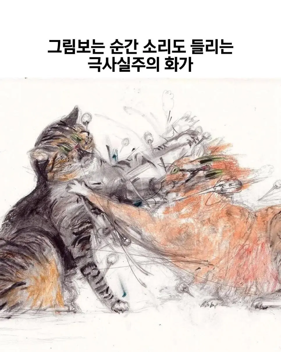 개쩌는 고양이 그림 | mbong.kr 엠봉