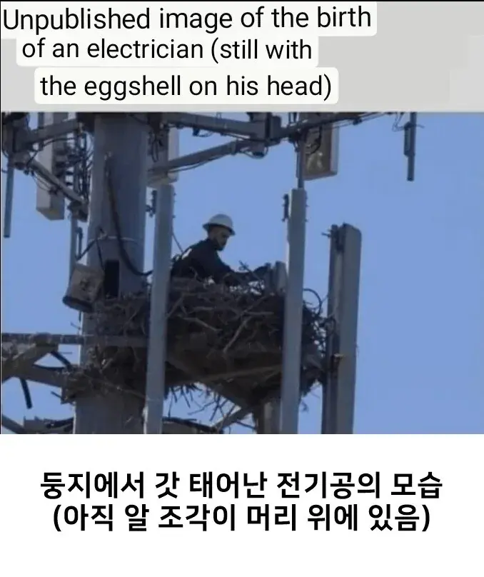 전기공이 태어나는 모습.jpg | mbong.kr 엠봉