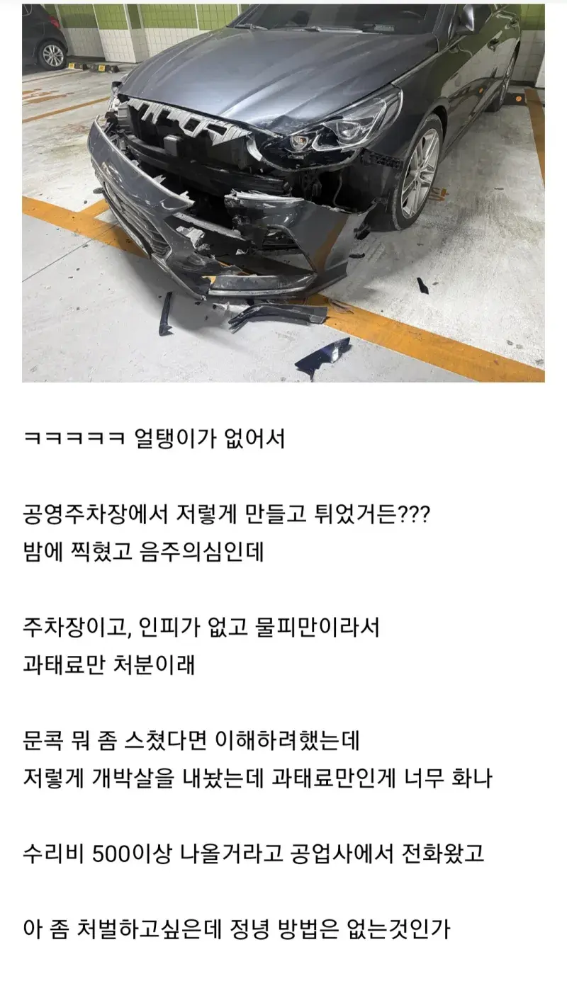 현재 난리난 물피도주.jpg | mbong.kr 엠봉