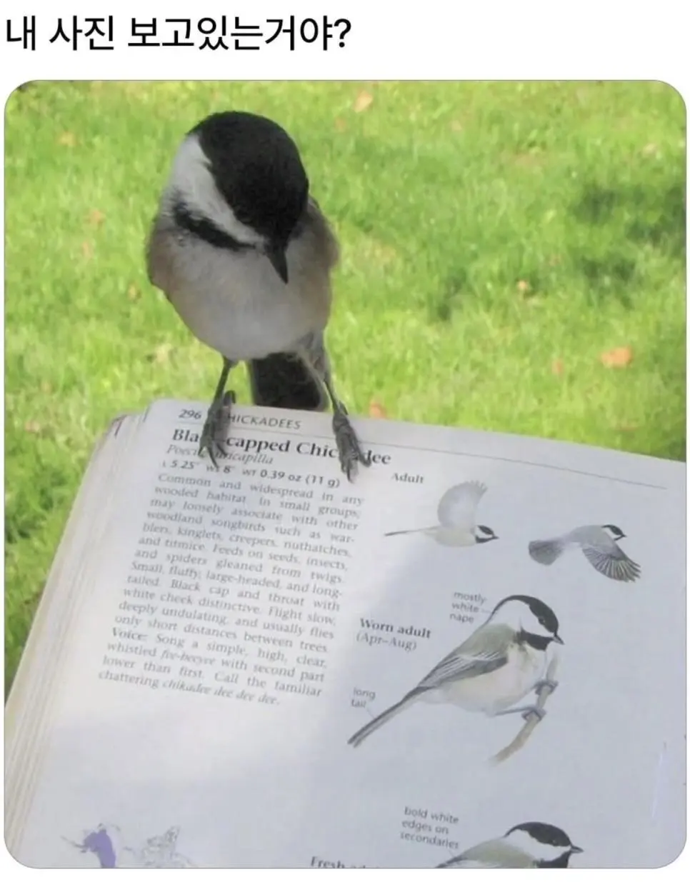 내 사진 보고있는거야? | mbong.kr 엠봉