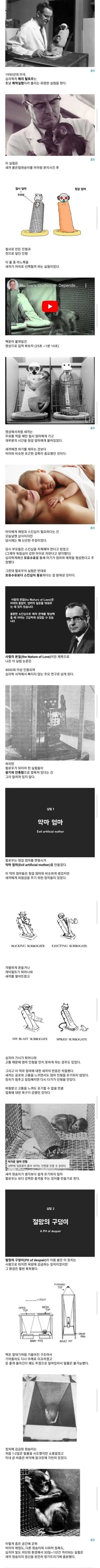 잔혹한 과학 실험 '절망의 구덩이' | mbong.kr 엠봉