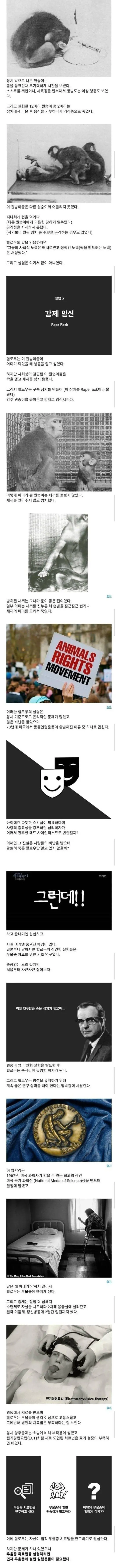 잔혹한 과학 실험 '절망의 구덩이' | mbong.kr 엠봉