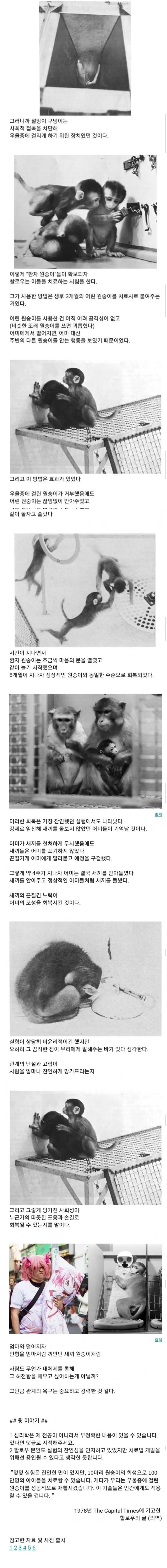잔혹한 과학 실험 '절망의 구덩이' | mbong.kr 엠봉