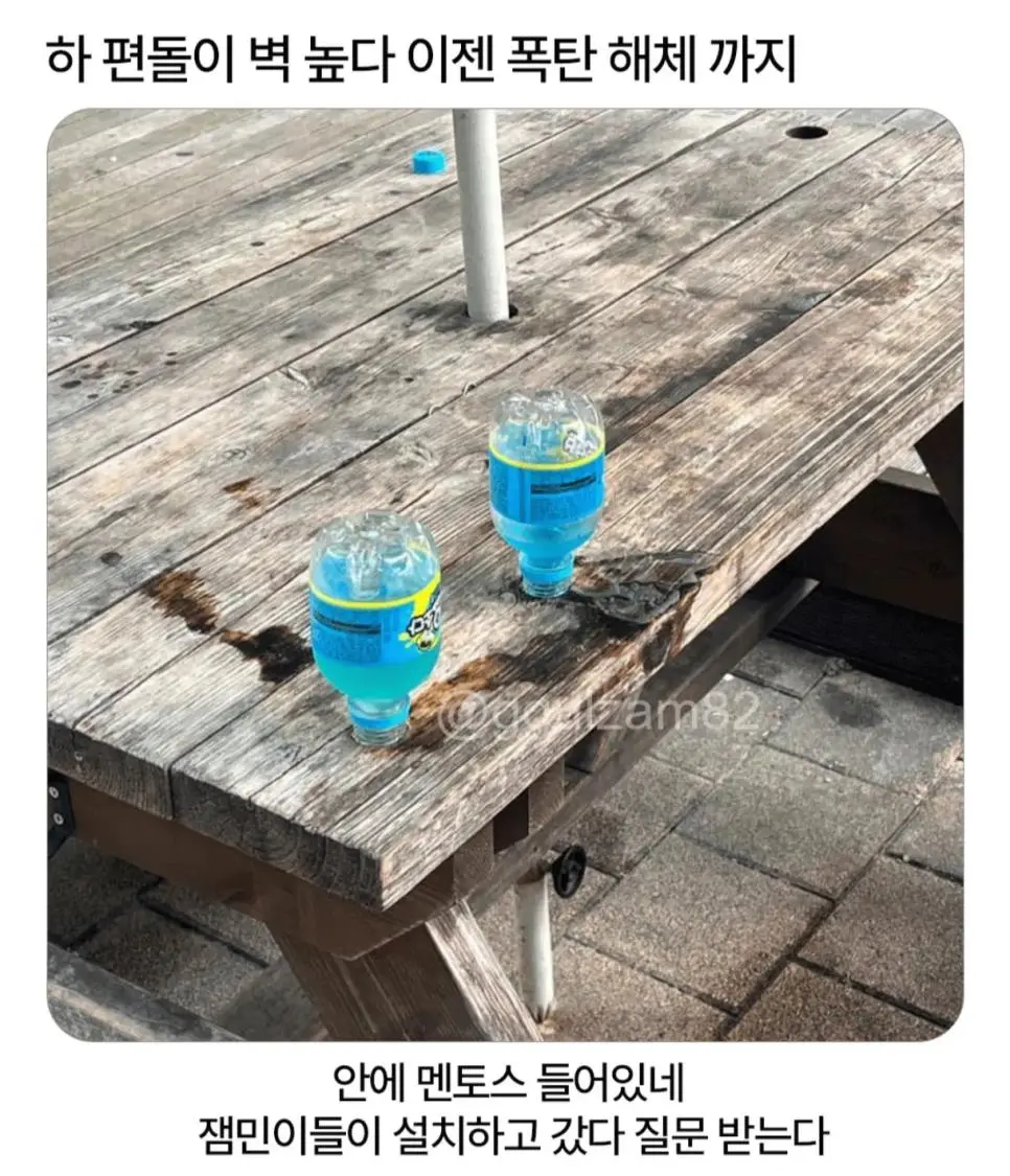 폭탄처리반 편돌이.jpg | mbong.kr 엠봉