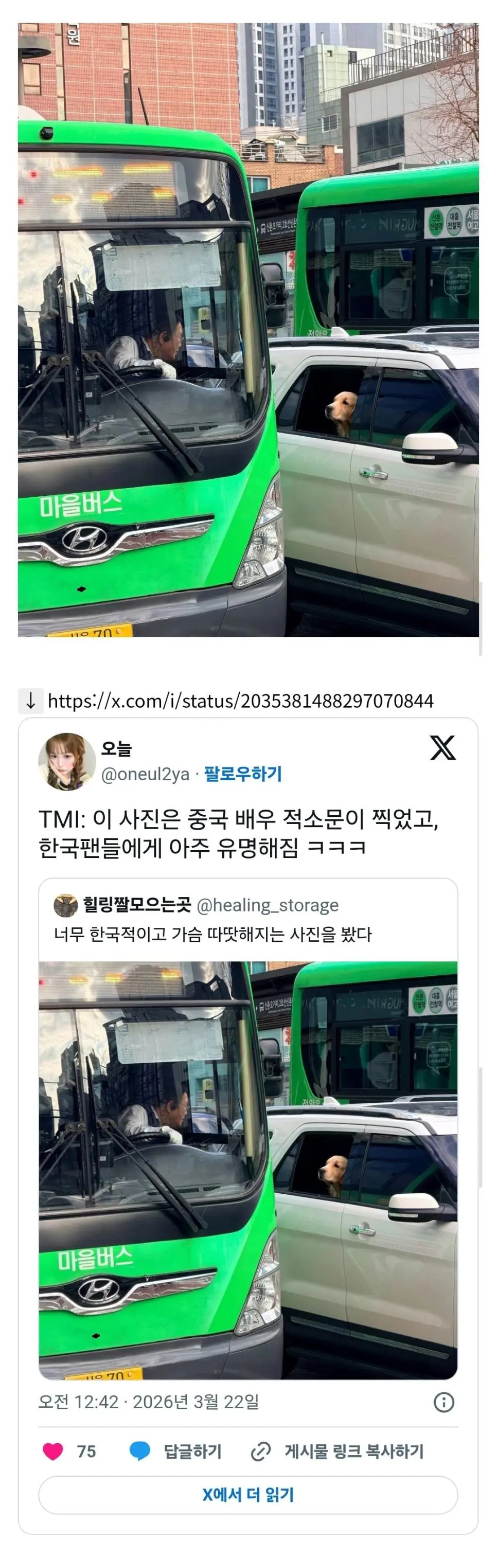 중국 배우가 우연히 찍었다는 한국의 어떤 풍경 | mbong.kr 엠봉