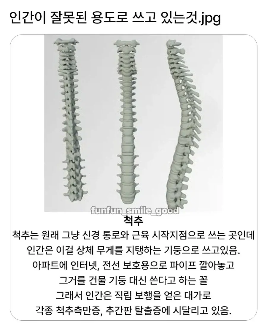 인간이 잘못된 용도로 쓰고 있는 것.jpg | mbong.kr 엠봉