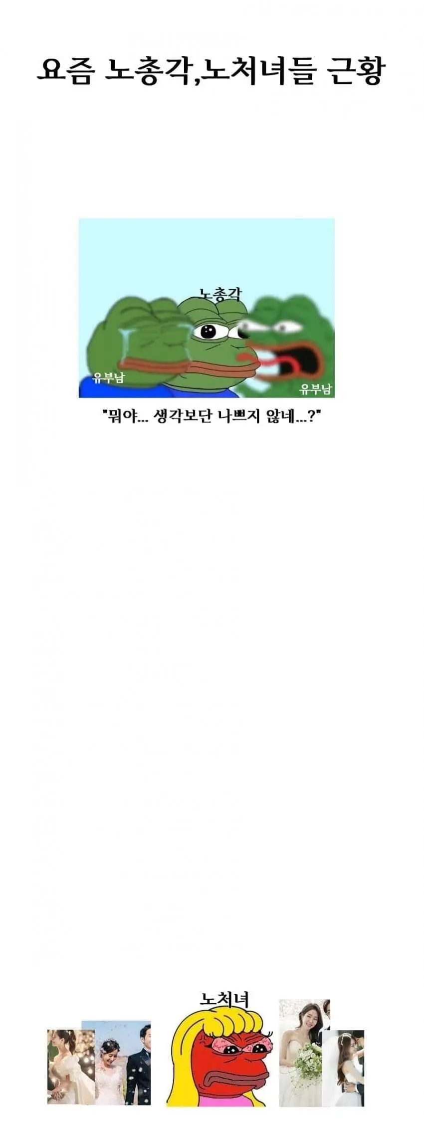 요즘 노총각,노처녀들 근황 | mbong.kr 엠봉