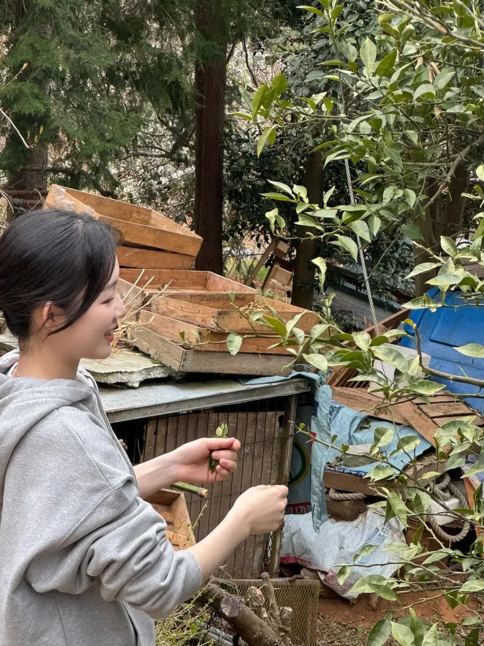 아기맹수 김시현 셰프 인스타 근황.jpg | mbong.kr 엠봉