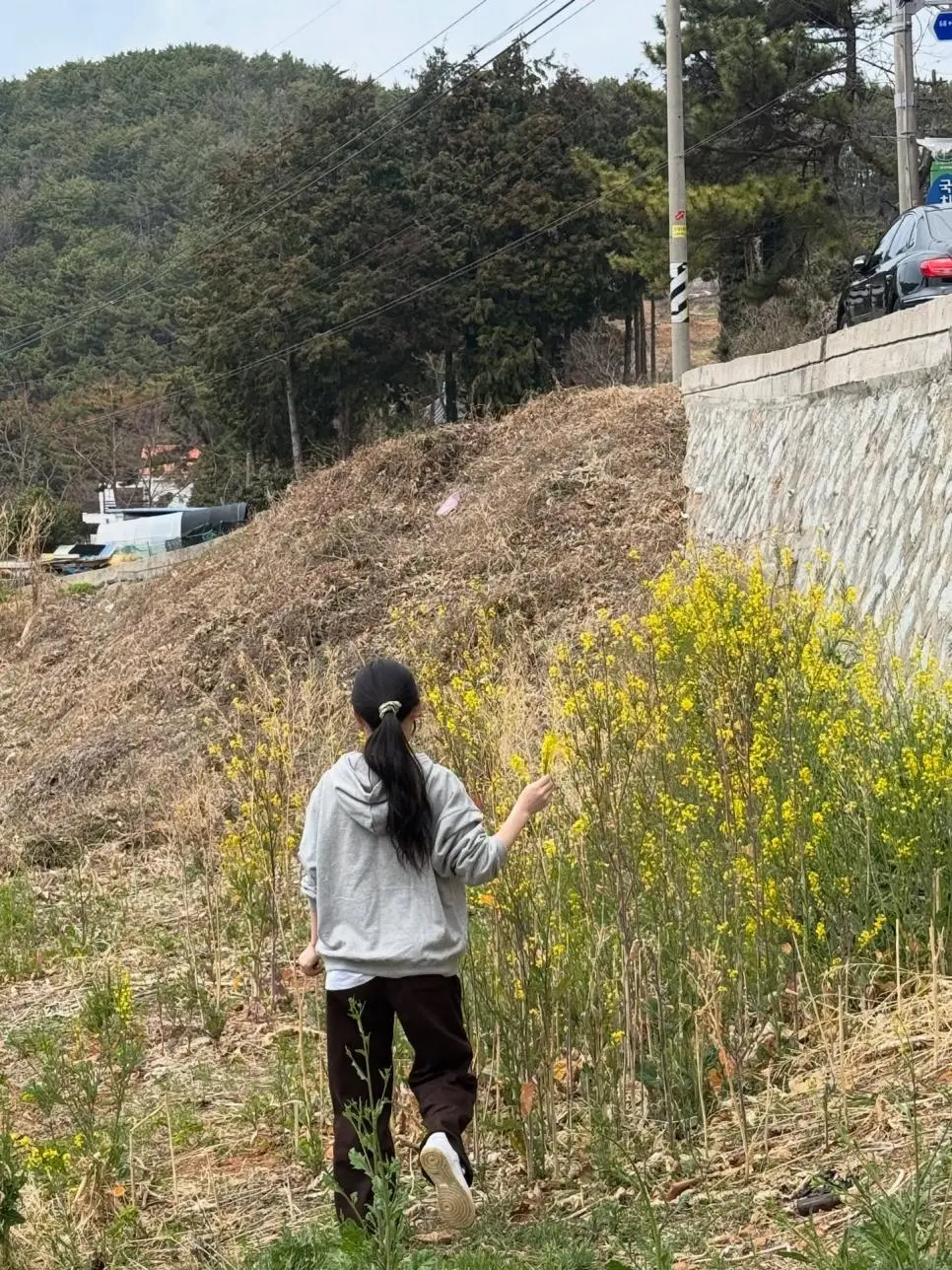 아기맹수 김시현 셰프 인스타 근황.jpg | mbong.kr 엠봉