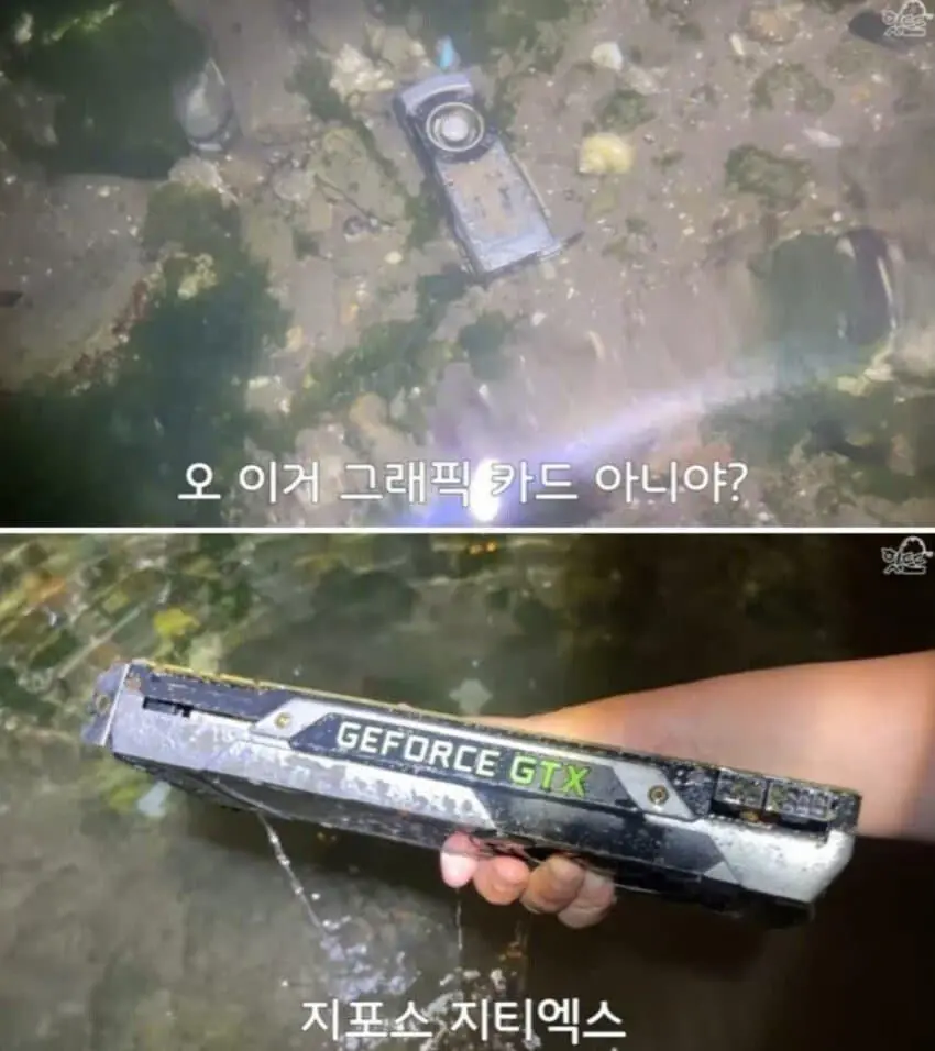 귀한 자연산 | mbong.kr 엠봉