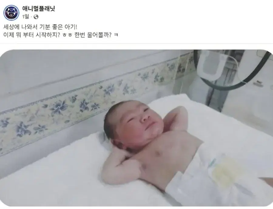세상에 나와서 너무 기분 좋은 아기 | mbong.kr 엠봉