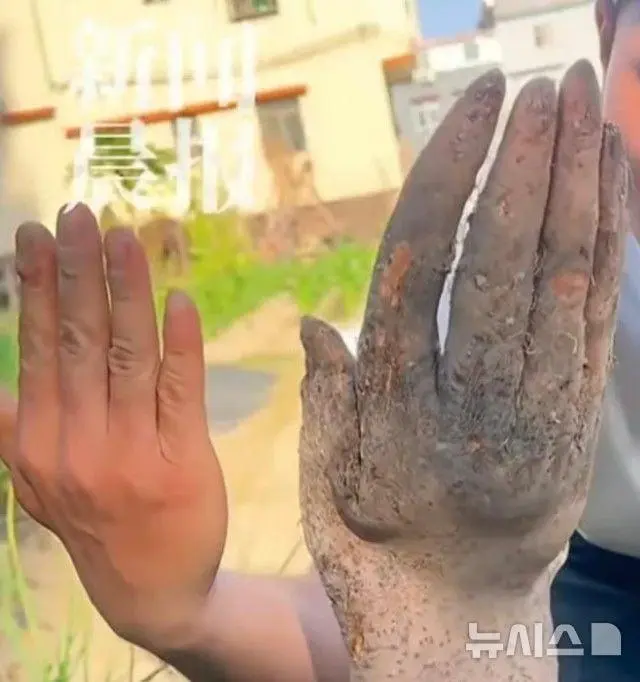 중국 농부가 캔 '참마' | mbong.kr 엠봉