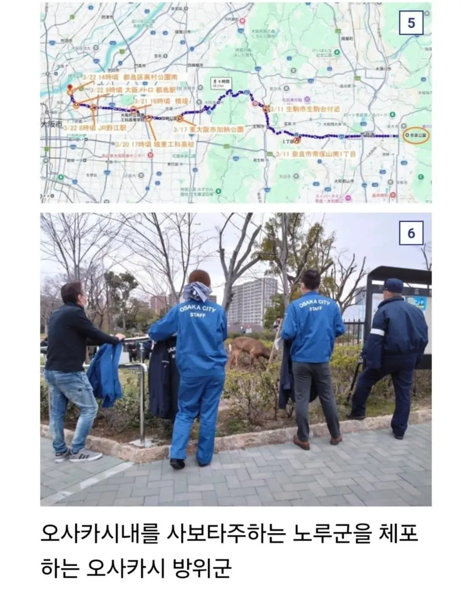 오사카 합전이 쉽지않은 이유 | mbong.kr 엠봉