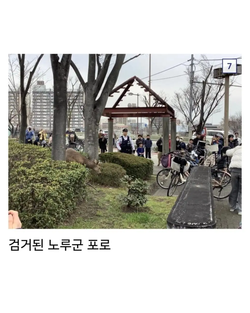 오사카 합전이 쉽지않은 이유 | mbong.kr 엠봉