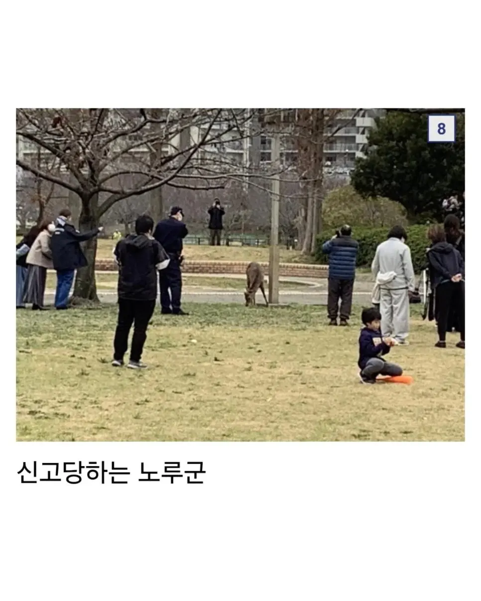 오사카 합전이 쉽지않은 이유 | mbong.kr 엠봉