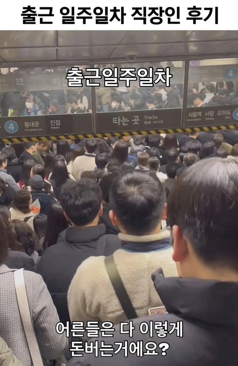 출근 일주일차 직장인 후기 | mbong.kr 엠봉