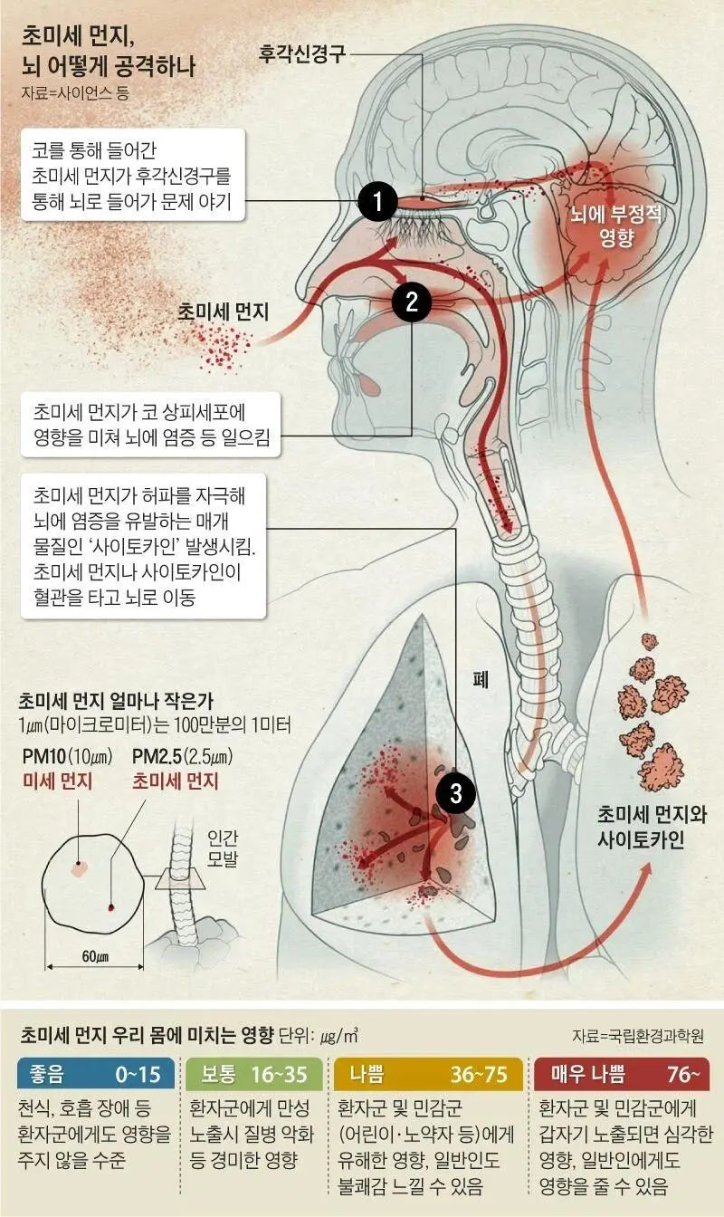'침묵의 암살자' 미세먼지, 6명 중 1명 사망 | mbong.kr 엠봉